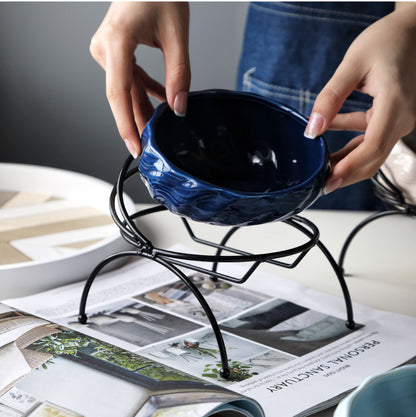 Pet Supplies Elevated Cat and Dog Bowls with Slant Design