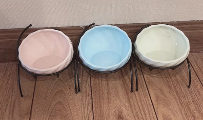Pet Supplies Elevated Cat and Dog Bowls with Slant Design