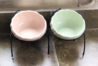 Pet Supplies Elevated Cat and Dog Bowls with Slant Design
